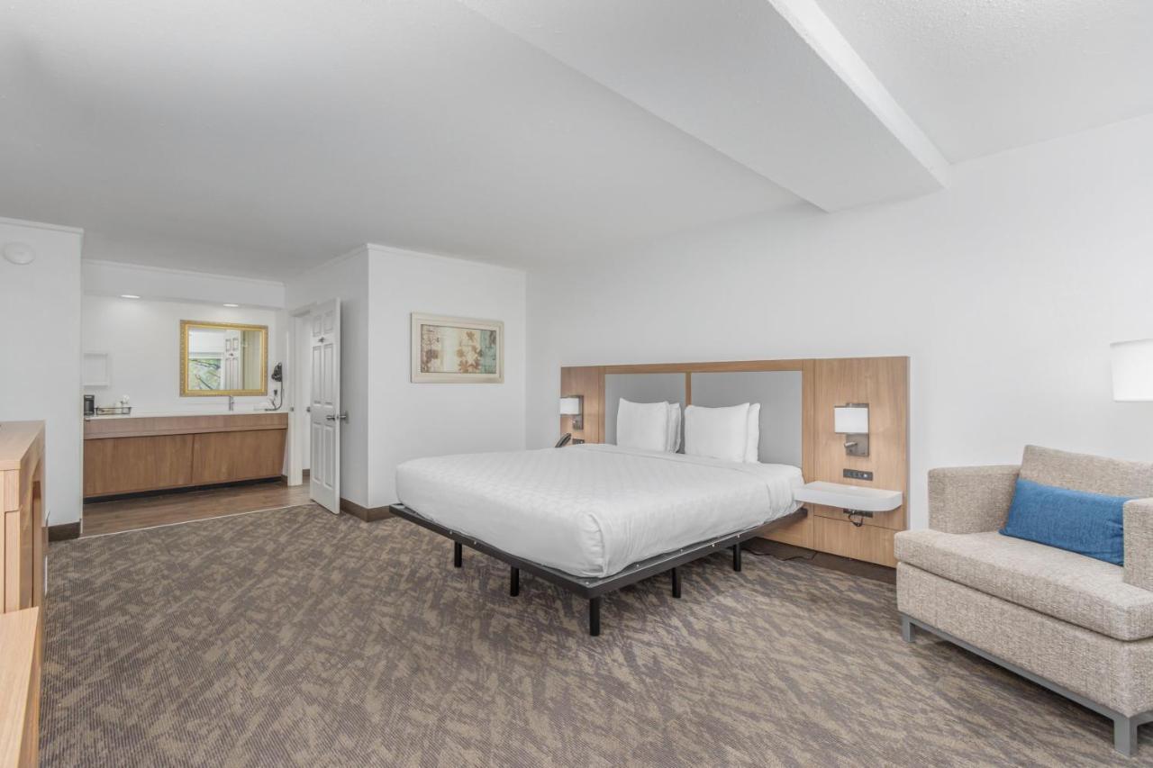 King Room Disability Access
