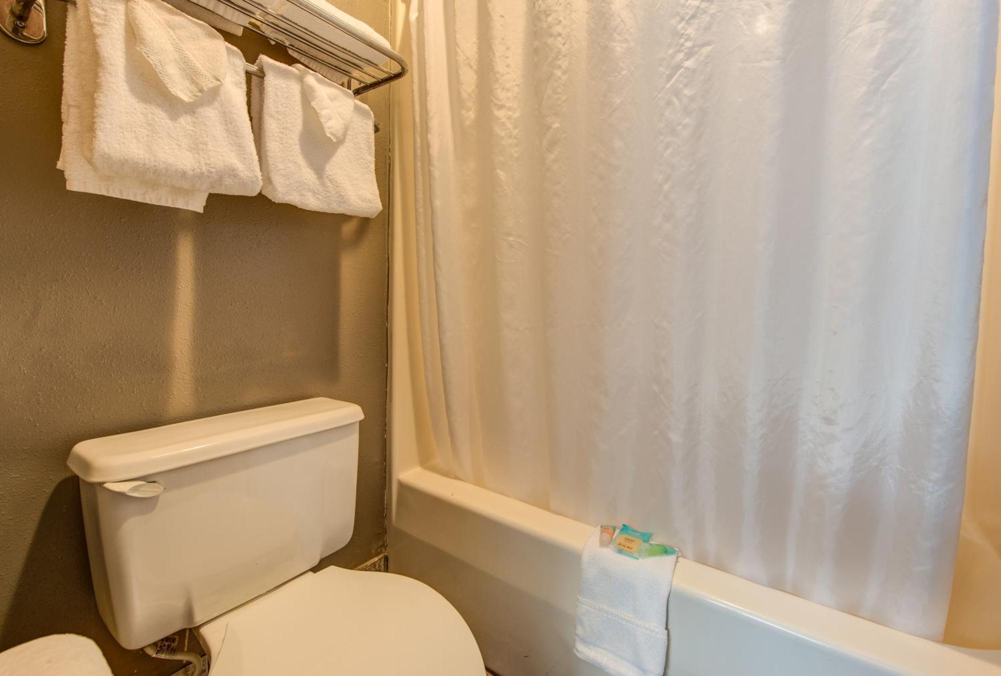 Double Queen Room Pet Friendly