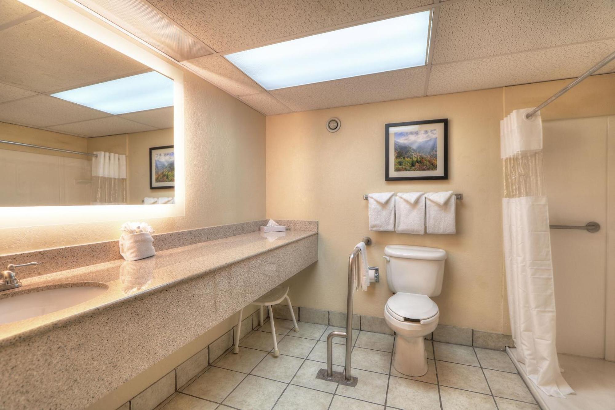 King Room Disability Access