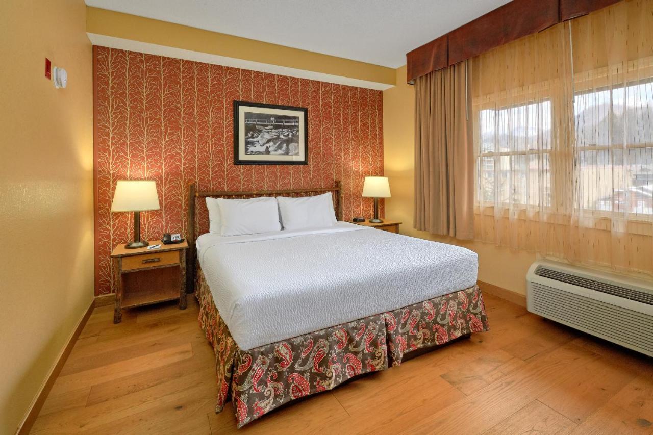 Junior King Suite