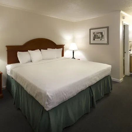 Belle Aire Motel - Downtown Convention Center - Gatlinburg-3